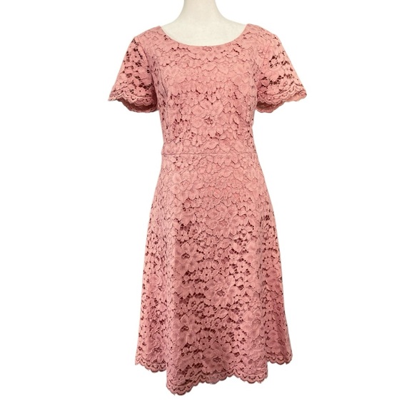 Talbots Dresses & Skirts - Talbots Dusky Pink Lace Fit & Flare Cotton Blend Short Sleeve Dress (Size 10)